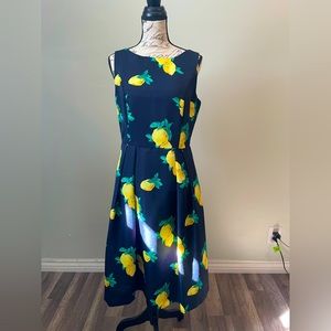 Eva Mendes collection Lemon Dress Size 10 New York Company Navi Blue